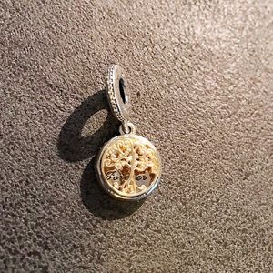 Pandora Family Roots charm gold & silver!
